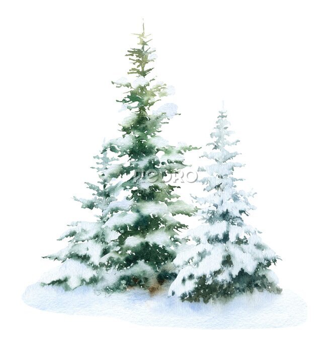 Sticker Kerstbomen bedekt met sneeuw