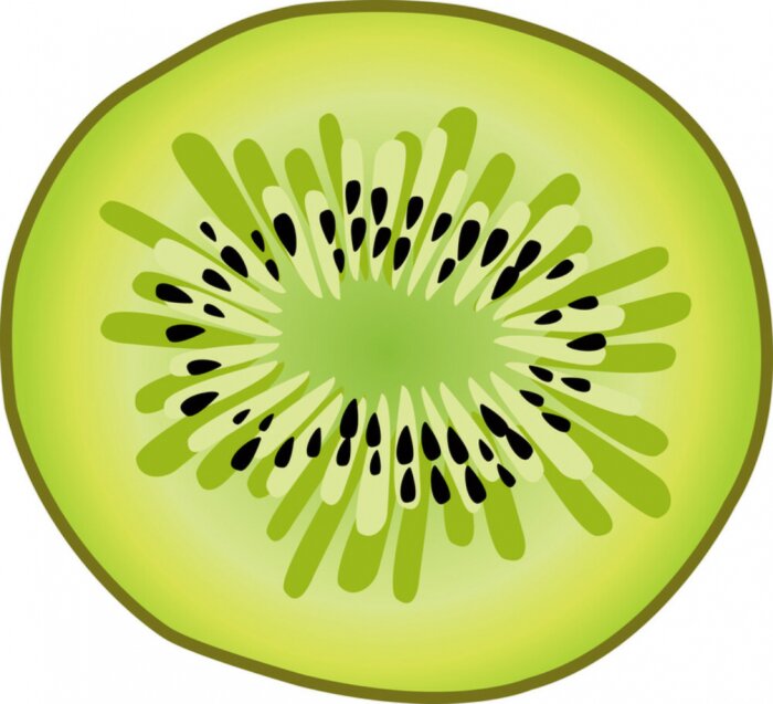 Sticker kiwiplak vector