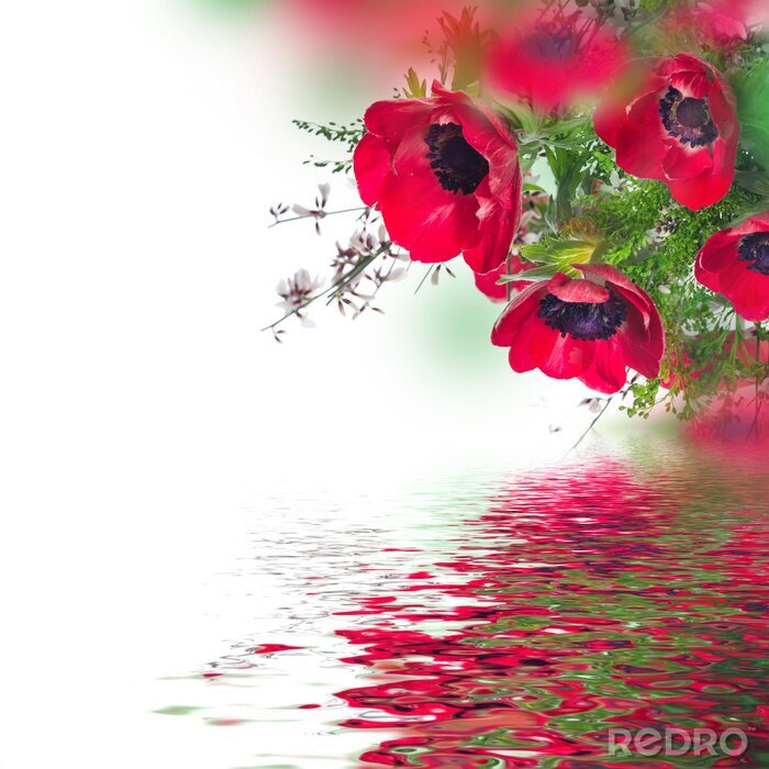 Sticker Klaprozen aan het water