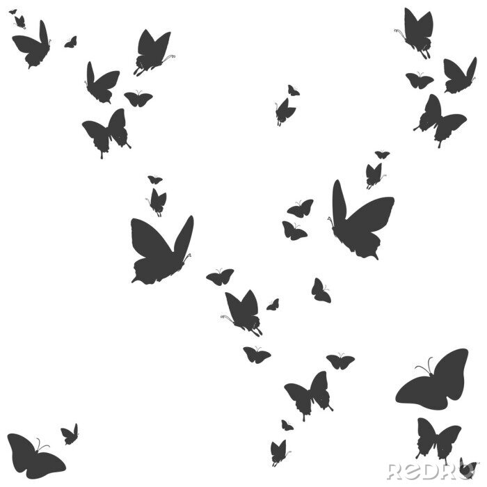Sticker Kleine en grote zwarte vlinders