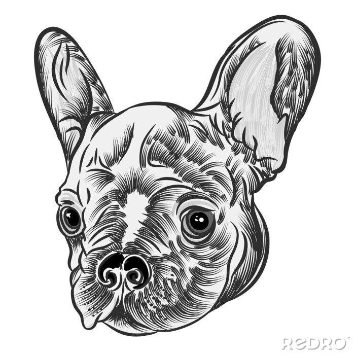 Sticker Kleine schattige Franse Bulldog puppy tattoo stijl concept op een witte achtergrond. Vriendelijk doggy portret. Vector illustratie.