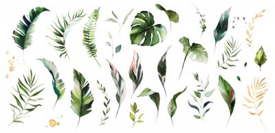 Kleine tropische planten en bladeren