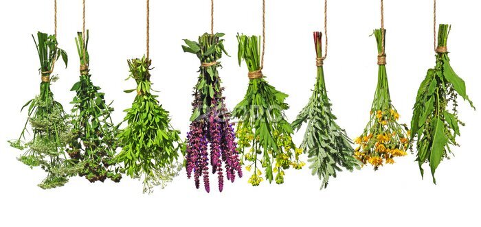 Sticker Kleurrijke boeketten van verse kruiden op een witte achtergrond