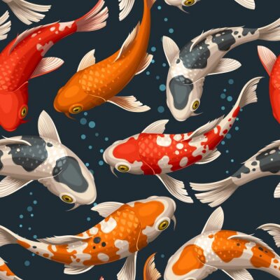 Kleurrijke koikarpers