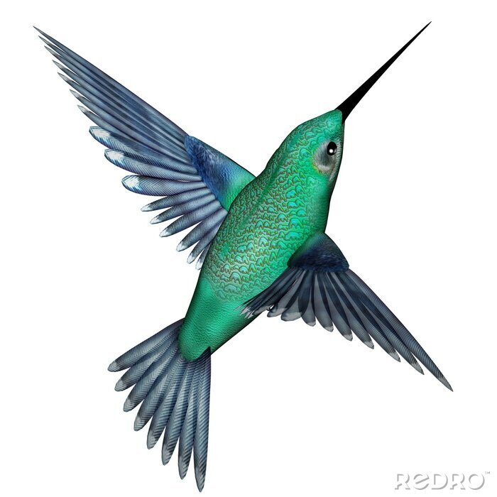 Sticker Kleurrijke kolibrie op een lichte achtergrond