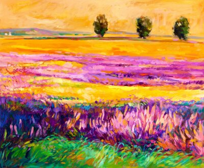 Kleurrijke lavendel in het veld