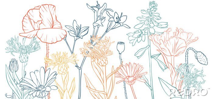 Sticker Kleurrijke schetsen van wilde bloemen