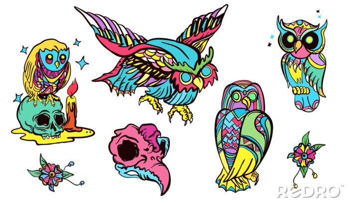 Sticker Kleurrijke uilen en schedels