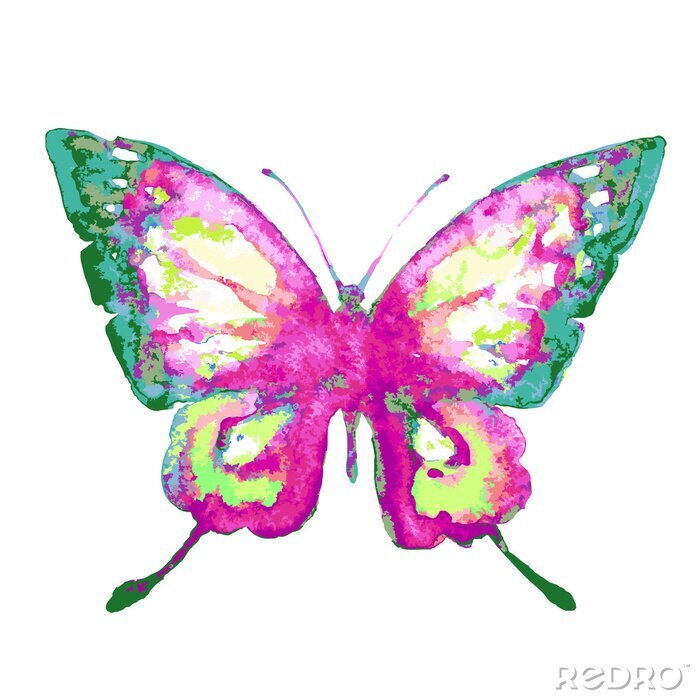 Sticker Kleurrijke vlinder in aquarel