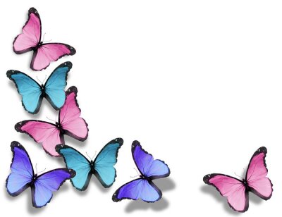 Sticker Kleurrijke vlinders voor meisjes