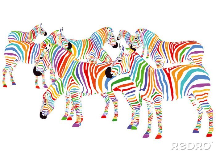 Sticker Kleurrijke Zebras