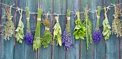 Kruiden op een houten achtergrond