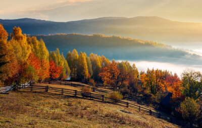 landelijk gebied en boomgaard in de herfst bij zonsopgang. bergachtig landschap met mist in verre wally