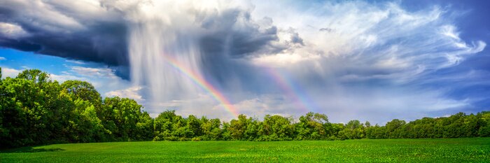 Sticker Landschap met bomen en een regenboog