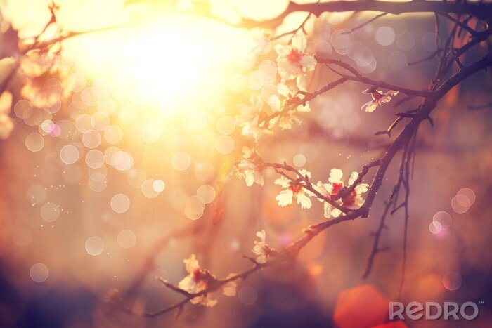 Sticker Landschap met de ondergaande zon