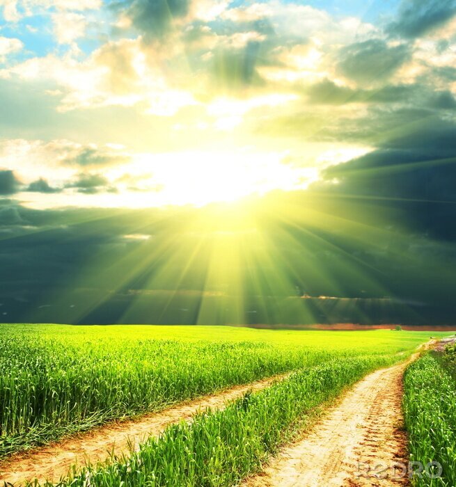 Sticker Landweg in de zon