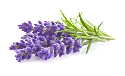 Sticker Lavendel bloem close-up