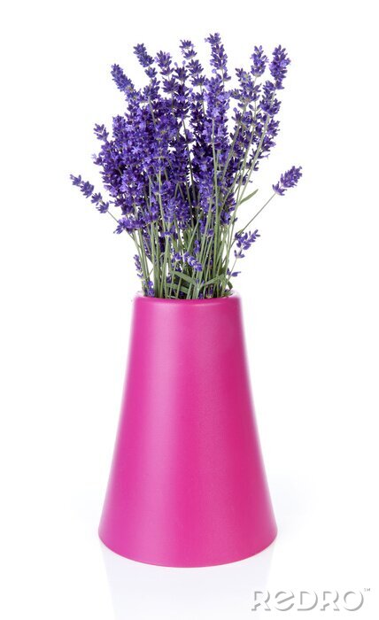Sticker Lavendel in een roze vaas