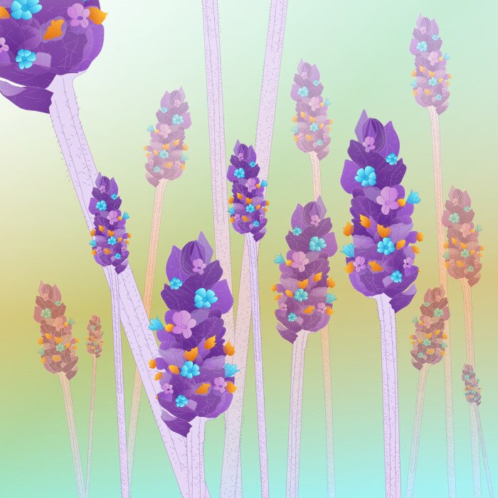 Sticker Lavendel in kleurenillustratie