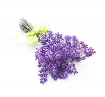 Sticker Lavendel met geel lint