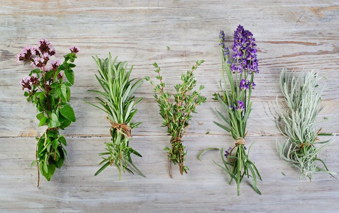 Sticker Lavendel op hout met kruiden