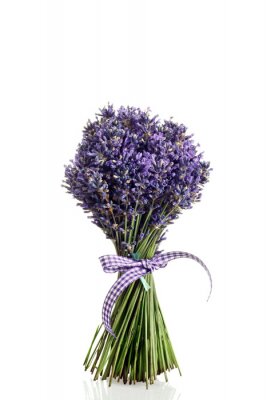 Sticker Lavendelbloem in een groot boeket