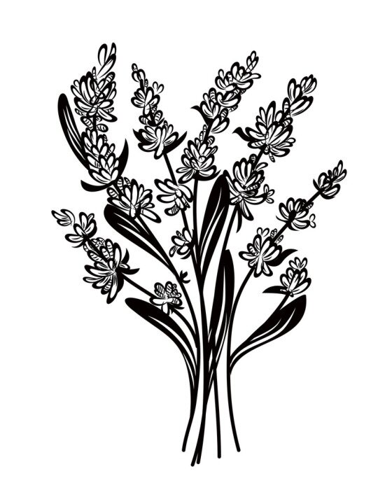 Sticker Lavendelbloem op de afbeelding