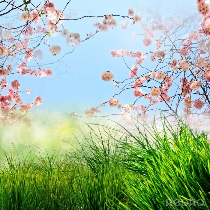 Sticker Lente achtergrond met natuur