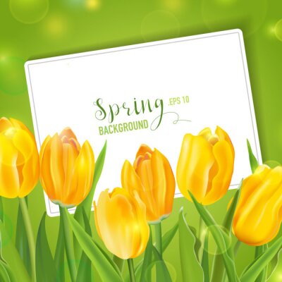 Sticker Lente gele tulpen