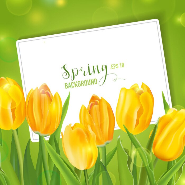 Sticker Lente gele tulpen