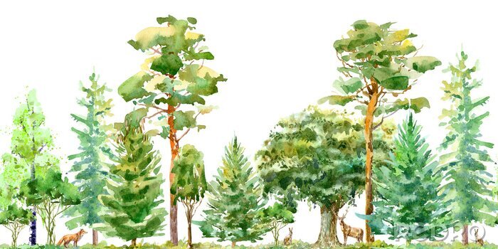 Sticker Lentebomen in een Europees bos