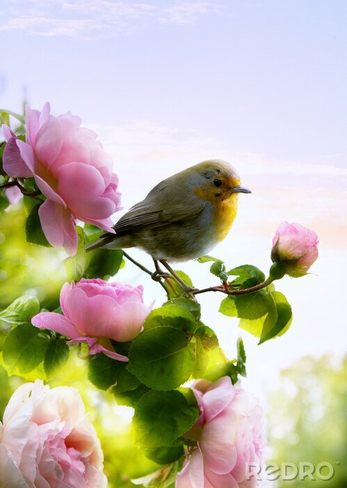 Sticker Lentelandschap met rozen en een vogel