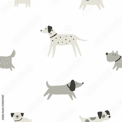 Leuke honden op een witte achtergrond
