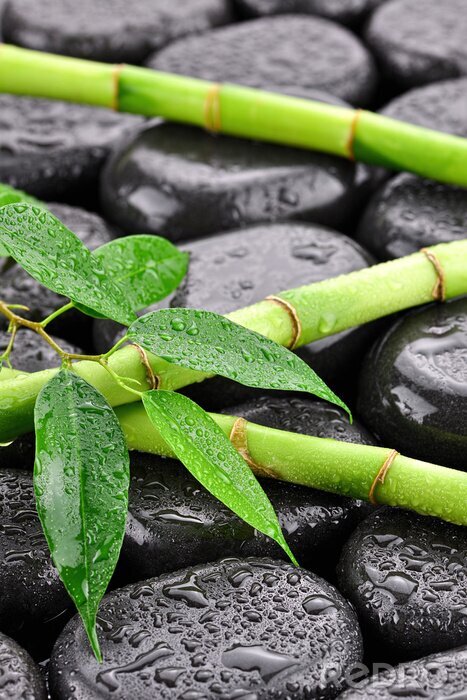 Sticker Liście z bambusami na kamieniach spa doen