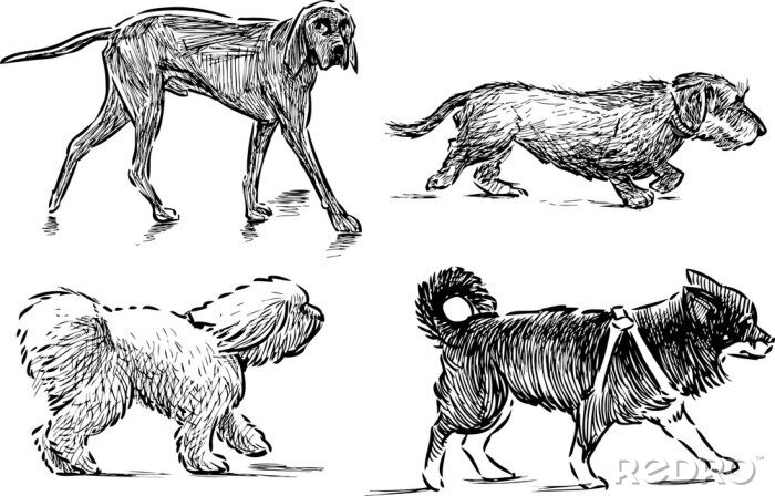 Sticker lopen honden