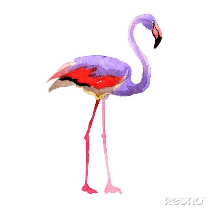 Sticker Lucht vogel flamingo in een wild door vectorr stijl geïsoleerd. Wilde vrijheid, vogel met vliegende vleugels. Aquarelle vogel voor achtergrond, textuur, patroon, frame, grens of tatoeage.