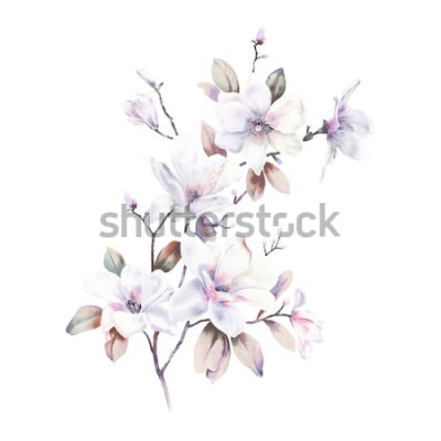 Sticker Magnolia's beschilderd met waterverf