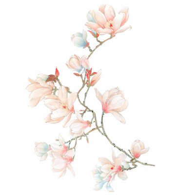 Magnolia's op een takje van een bloeiende struik