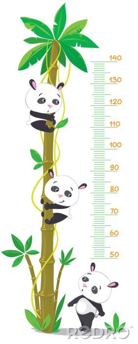 Sticker Meter hoge muur met palmboom en drie grappige panda's