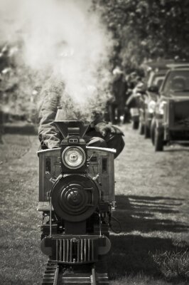 Miniatuur van een stoomtrein