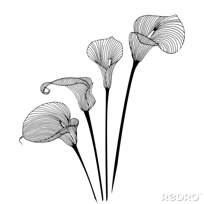 Sticker Minimalistische zwart-witafbeeldingen met bloemen