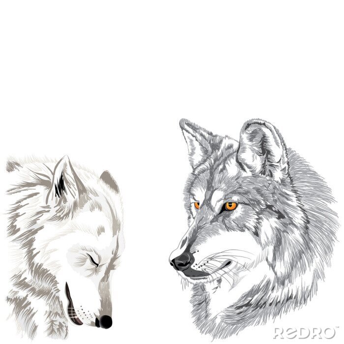 Sticker Monochromatische illustratie van wolven