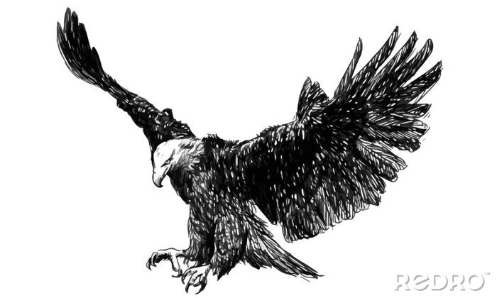 Sticker Monochrome adelaar met gespreide vleugels