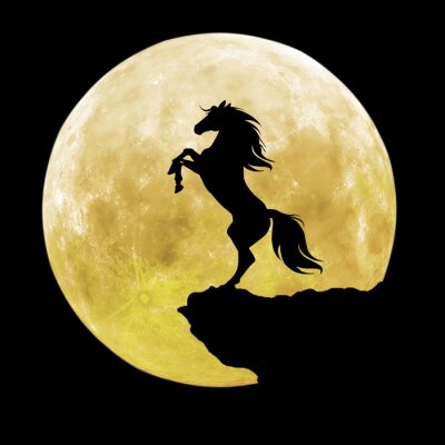 Sticker Monteer tegen de achtergrond van de volle maan