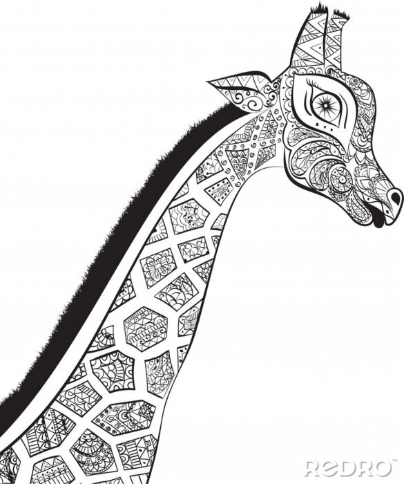 Sticker Mooie volwassen Giraffe. Hand getekende illustratie van sier giraffe. geïsoleerd giraf op een witte achtergrond. Het hoofd van een decoratieve giraffe