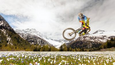 MTB in de lente
