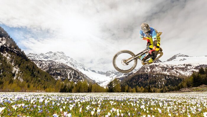Sticker MTB in de lente