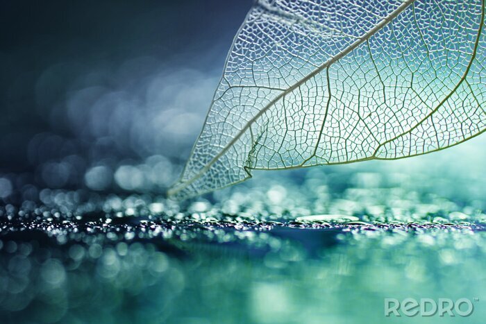 Sticker Nachtbladbanners