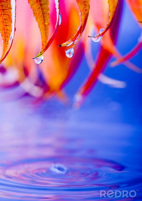 Sticker Natte bladeren