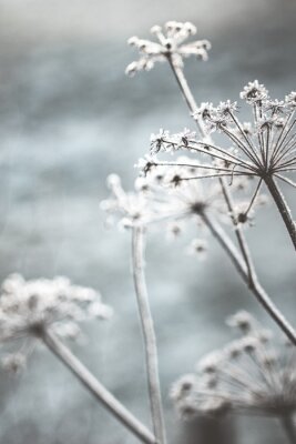 Sticker Natuur in de winter